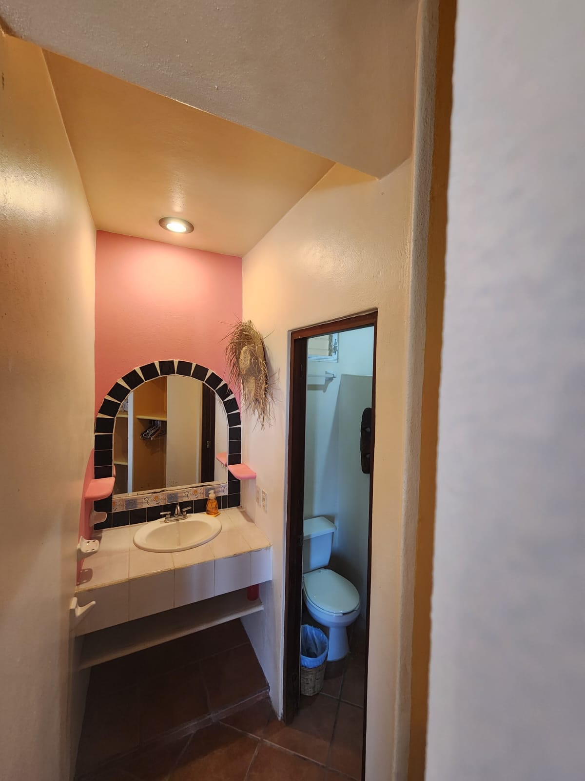 Iguana bathroom